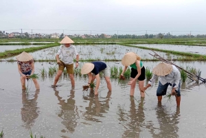 Hoi An: Countryside by Cycling, Buffalo Riding & Do Farming
