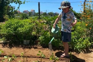 Pyöräile Hoi Anin maaseudulla
