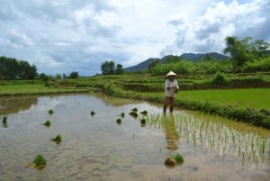 Hoi An Countryside Bicycle Tour : 25 Km Real Vietnam