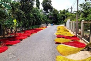 Hoi An: Countryside Half-Day Guided Bike Tour