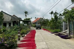 Hoi An: Countryside Half-Day Guided Bike Tour