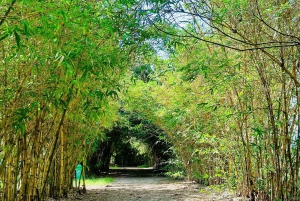 HOI AN Countryside Hidden Gems in the Villages PRIVATE TOUR (Visite privée de la campagne de HOI AN)