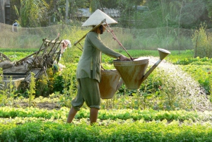 Hoi An Countryside Private Full-Day Tour by Jeep