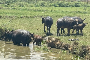 HOI AN Campagna Gemme nascoste nei villaggi TOUR PRIVATO