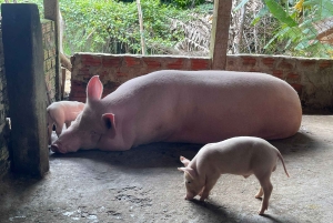 Hoi An: prywatna wycieczka po wiejskich wioskach i wyspach rzecznych