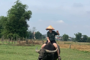 Hoi An: Fietsen - Buffalo rijden en kokosboottocht met maaltijd