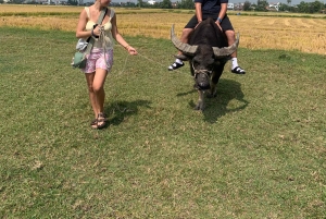 Hoi An: Fietsen - Buffalo rijden en kokosboottocht met maaltijd