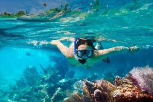 Hoi An/Da Nang:Excursión diaria a la Isla Cham-Experiencia de snorkel