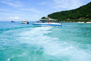 Hoi An/Da Nang: Tour giornaliero dell'isola di Cham - Esperienza di snorkeling