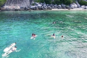 Hoi An/Da Nang: Cham Island & Snorkeling with tropical fish