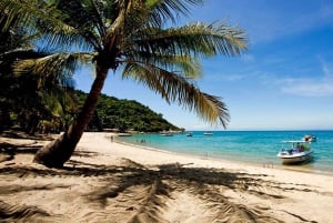 Hoi An/Da Nang: Cham Island & Snorkeling with tropical fish