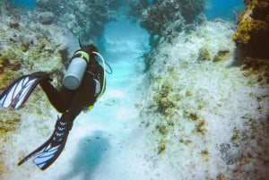 Hoi An/Da Nang: Cham Island & Snorkeling with tropical fish