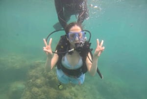 Hoi An/Da Nang: Cham Island & Snorkeling with tropical fish