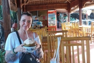 Hoi An/Da Nang: My Son Sanctuary met opties voor kokosjungle