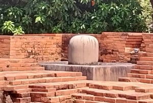 Hoi An/Da Nang: My Son Sanctuary met opties voor kokosjungle