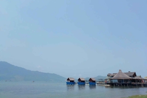 Hoi An/Da Nang: Private Day Trip to Hue with Driver