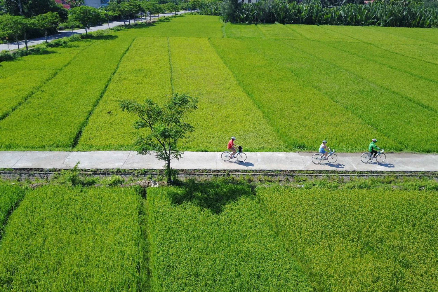 Hoi An: Farming and Fishing Tour with Bike and River Cruise