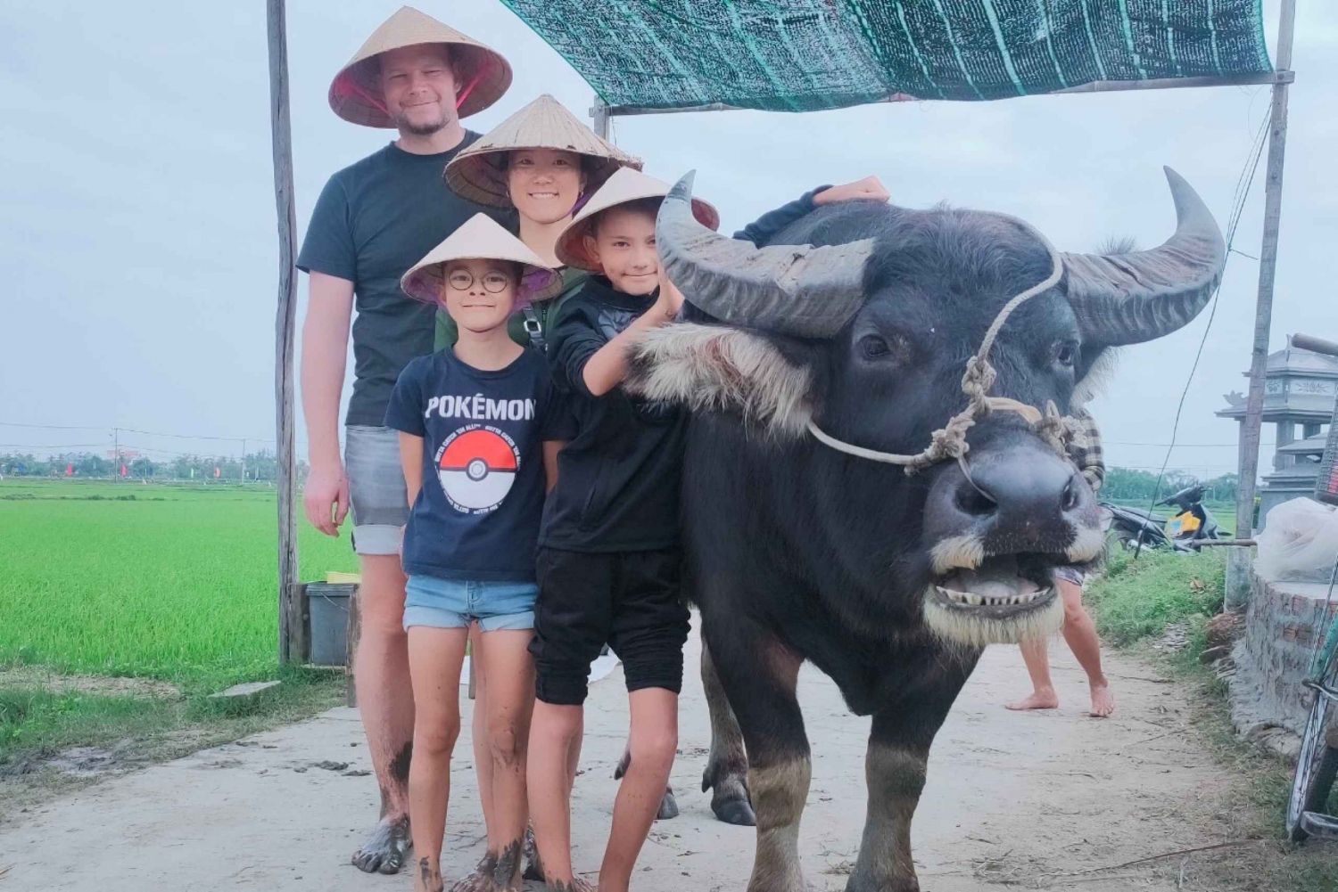 Hoi An: Farming and Buffalo Riding Tour by Bike with Food