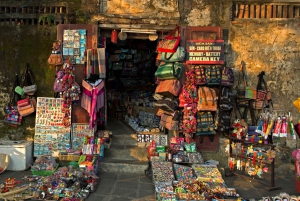 Hoi An: Half-Day Guided Walking Tour in a Small Group