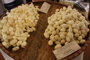 Hoi An: Half-Day Silk Cloth Producing Process Tour