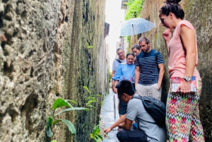 Hoi An Heritage Guided Tour