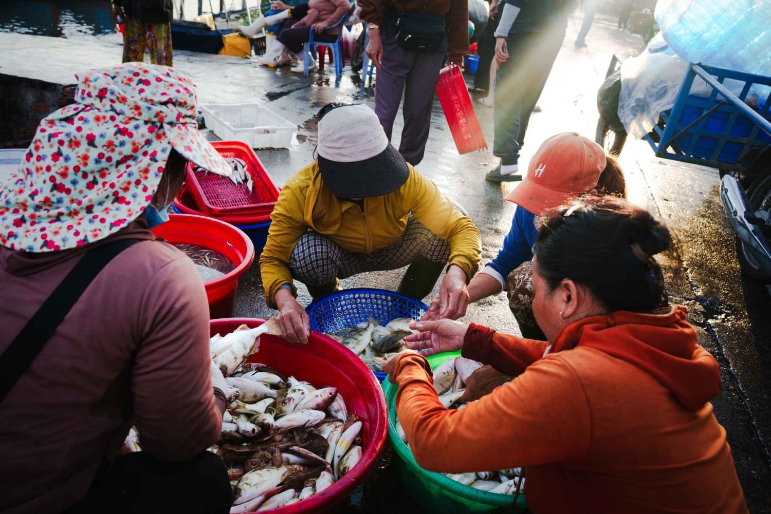 Hoi An: Motorsykkeltur til skjulte perler med lokalbefolkningen