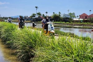 Hoi An - høydepunkter og skjulte perler - tur med Vespa