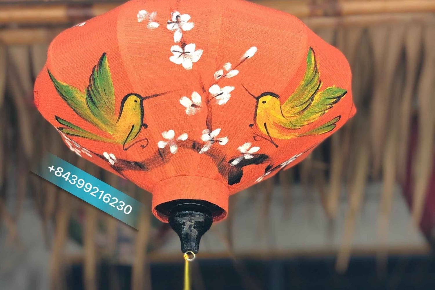 Hoi An: Lanterne- og kaffekursus