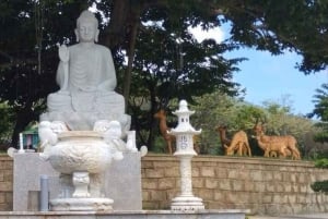 Hoi An: Marble Mountain naar Monkey Mountain Begeleide rondleiding