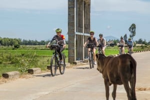 Hoi An: Ochtend fietstocht op het platteland