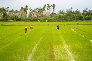 Hoi An: Hoi Hoi: Aamupäivän maaseutukierros pyörällä