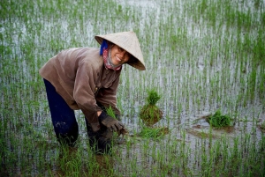 Hoi An: Hoi Hoi: Aamupäivän maaseutukierros pyörällä