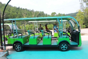 Hoi An: My Son Sanctuary kl. 08.00-13.00 Lunsj i et lokalt hus