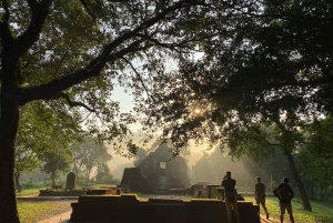 Hoi An: My Son Sanctuary kl. 08.00-13.00 Lunsj i et lokalt hus