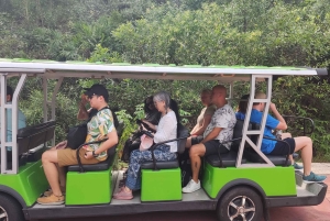 Hoi An: My Son Sanctuary kl. 08.00-13.00 Lunsj i et lokalt hus