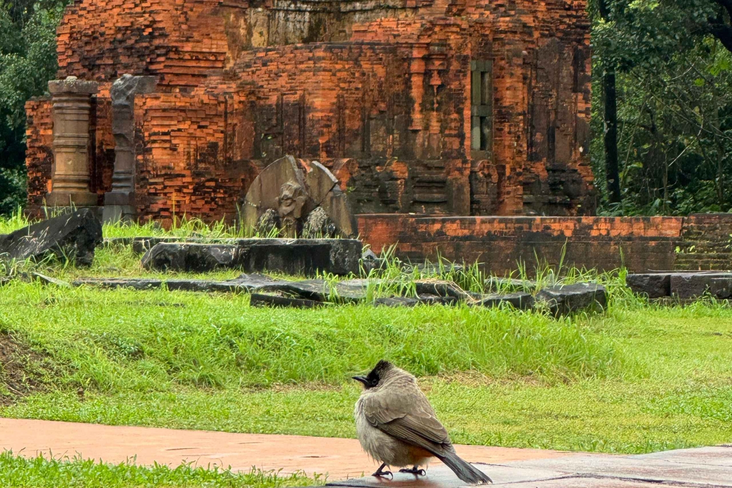 Hoi An: My Son Sanctuary Privat tur med lokal guide