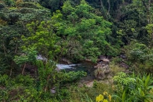 Hoi An: aventura en moto todoterreno con cascada
