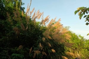 Hoi An: aventura en moto todoterreno con cascada