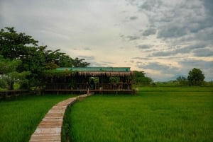 Hoi An: aventura en moto todoterreno con cascada