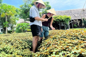 Hoi An: Private Cooking Class with Lantern Workshop