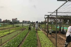 Da Nang/Hoi An: prywatna wycieczka po wioskach rzemieślniczych z jazdą na rowerze