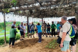 Da Nang/Hoi An: prywatna wycieczka po wioskach rzemieślniczych z jazdą na rowerze
