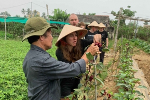 Rural Cycle, Market Tour, Basket Boat & Organic Farm Cooking