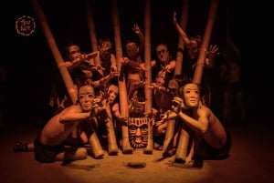 Hoi An: Il circo vietnamita di bambù Teh Dar al Lune Center