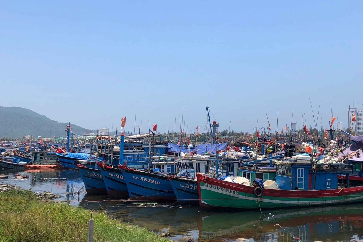 Hoi An to Hue: Private Sightseeing Drive & My Son Sanctuary