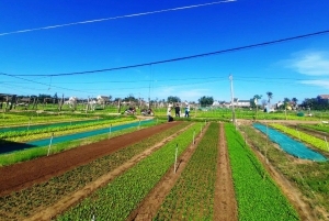 From Hoi An: Tra Que Village Tour & Cooking Experience