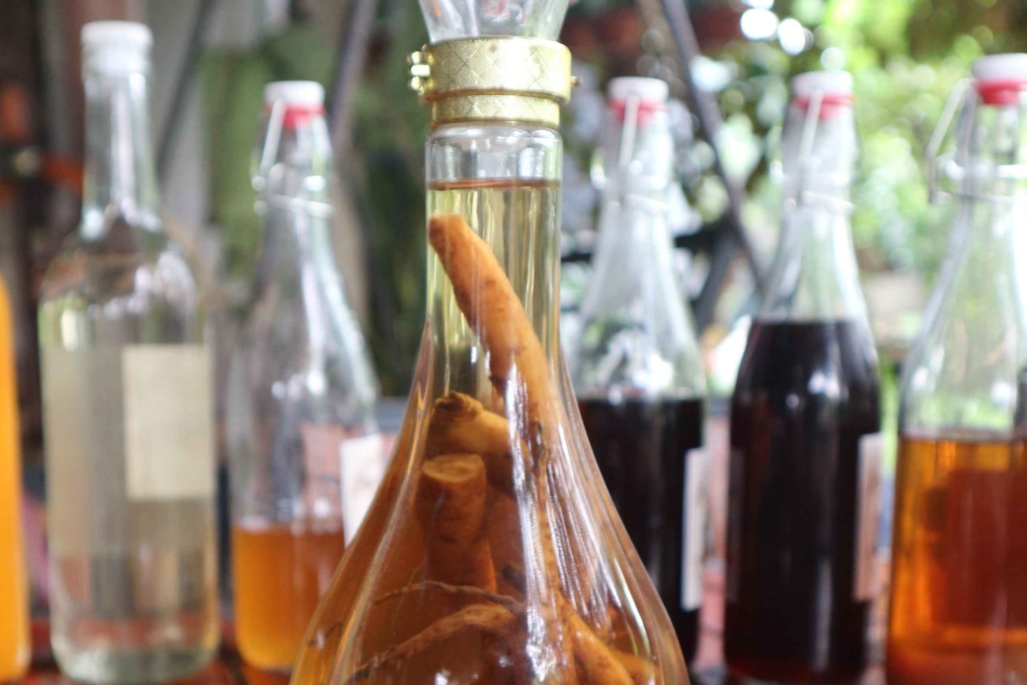 Hoi An: experiencia tradicional de elaboración de vino de arroz