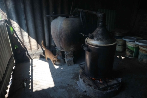 Hoi An: experiencia tradicional de elaboración de vino de arroz