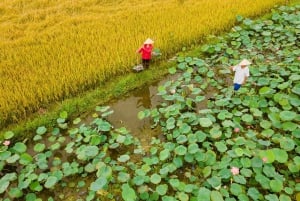 1-dniowa wycieczka po Hue – zostań rolnikiem w wiosce La Chu