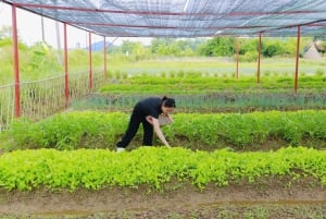 1-dniowa wycieczka po Hue – zostań rolnikiem w wiosce La Chu